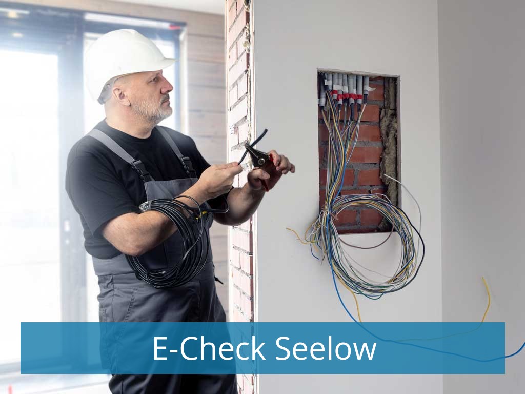 E-Check Seelow
